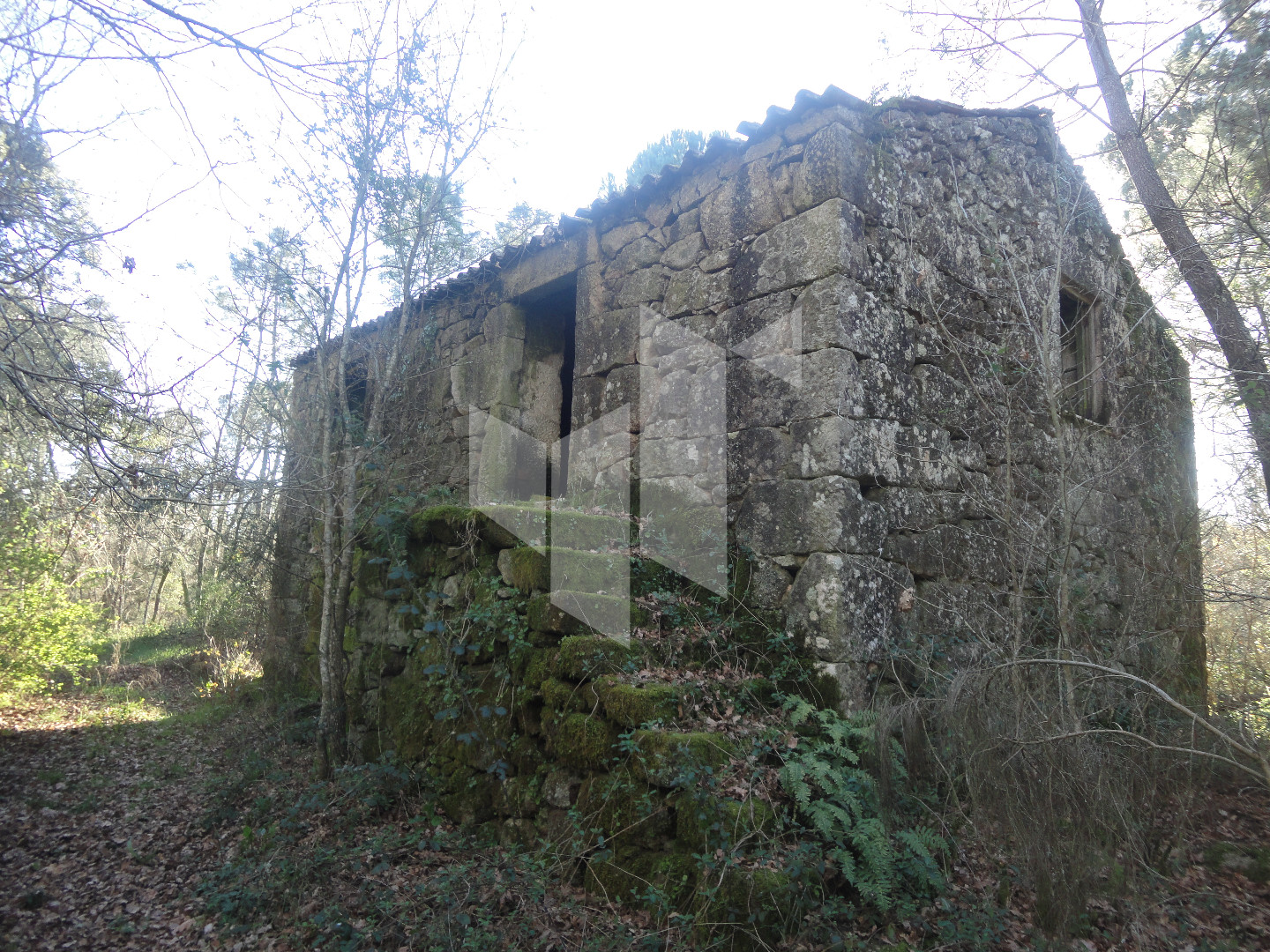 Quinta , Tondela e Nandufe